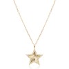 Ezüst nyaklánc Shining Star