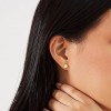Arany fülbevalók Dot Earrings Arany fülbevalók Dot Earrings