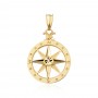 Arany medál Compass